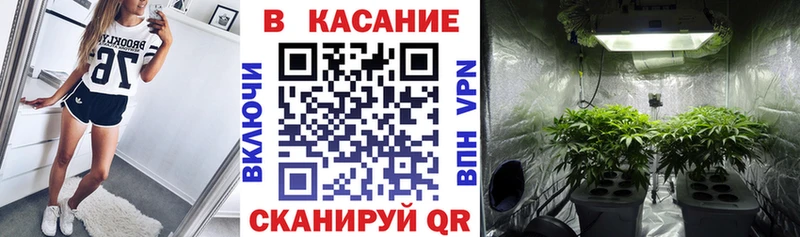 МЕТАДОН Бабушкин