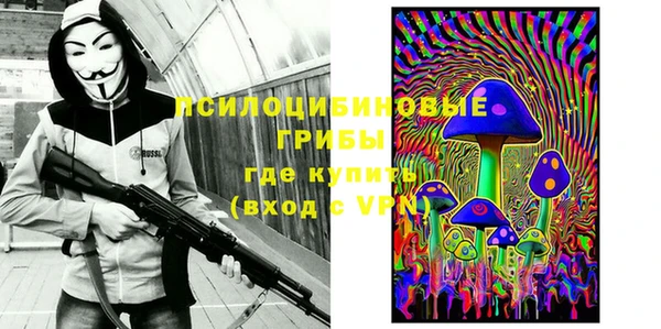 трава Переславль-Залесский