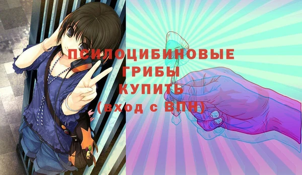 a pvp Пестово