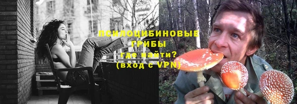 трава Переславль-Залесский